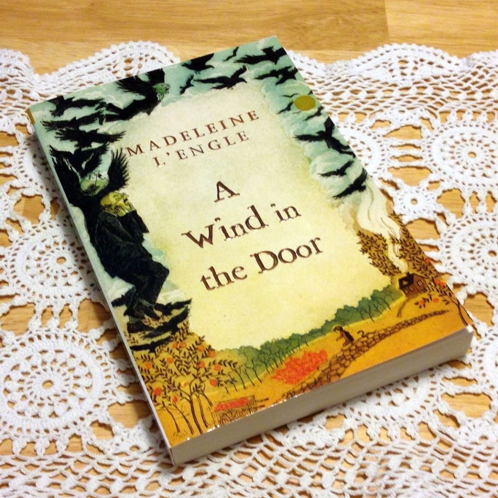 Book Sale! 3 for $10! Madeleine L'Engle Middle Grades Wind in the Door